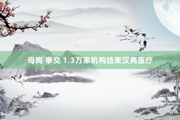 母狗 拳交 1.3万家机构结束汉典医疗