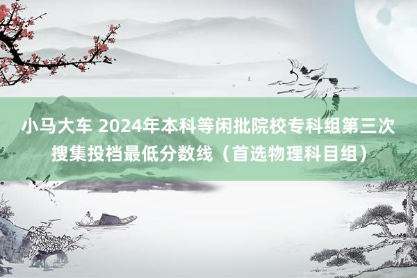 小马大车 2024年本科等闲批院校专科组第三次搜集投档最低分数线(首选物理科目组)