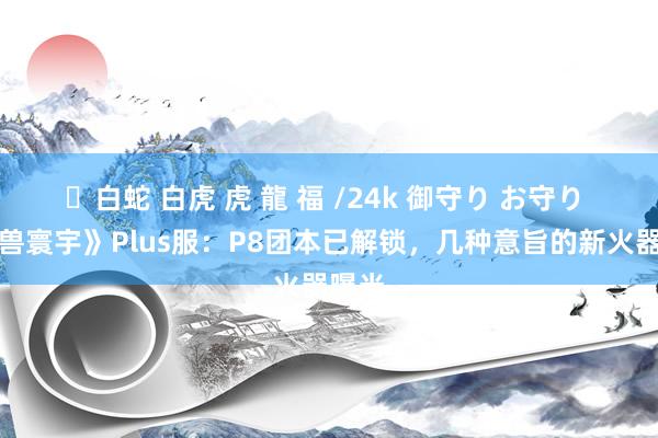 ✨白蛇 白虎 虎 龍 福 /24k 御守り お守り 《魔兽寰宇》Plus服：P8团本已解锁，几种意旨的新火器曝光