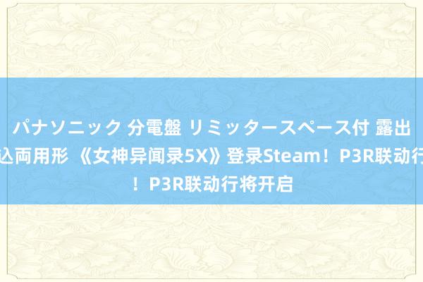 パナソニック 分電盤 リミッタースペース付 露出・半埋込両用形 《女神异闻录5X》登录Steam！P3R联动行将开启