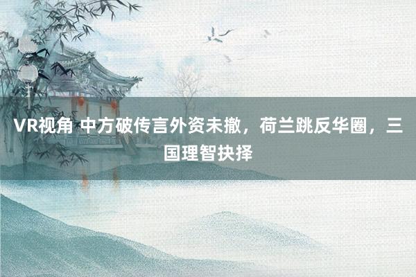 VR视角 中方破传言外资未撤，荷兰跳反华圈，三国理智抉择