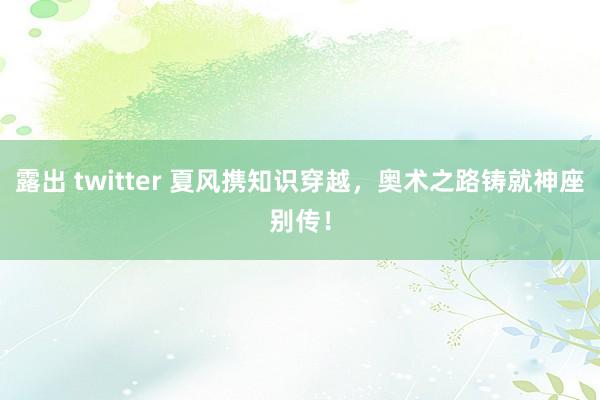 露出 twitter 夏风携知识穿越，奥术之路铸就神座别传！