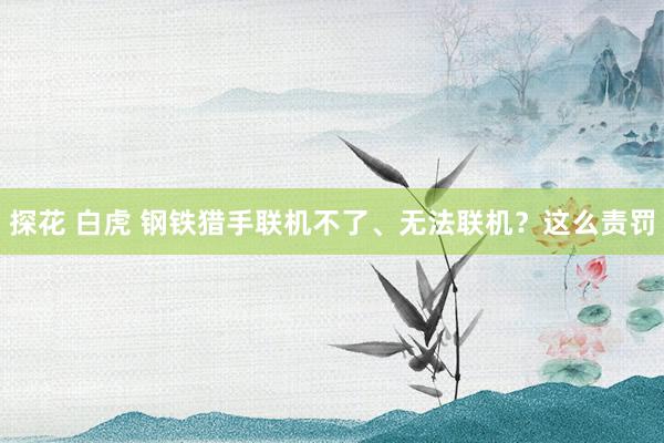 探花 白虎 钢铁猎手联机不了、无法联机？这么责罚