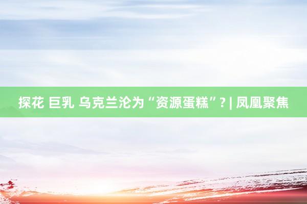 探花 巨乳 乌克兰沦为“资源蛋糕”? | 凤凰聚焦