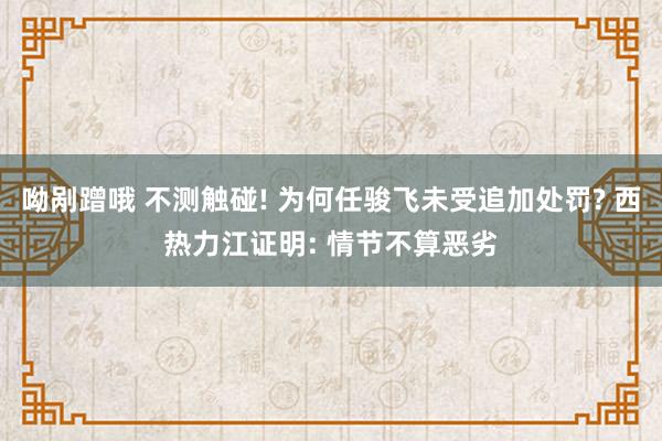 呦剐蹭哦 不测触碰! 为何任骏飞未受追加处罚? 西热力江证明: 情节不算恶劣