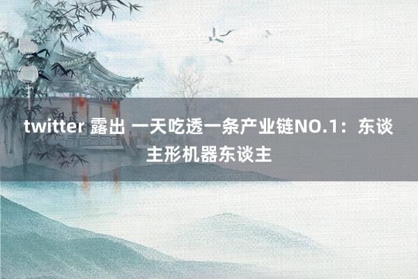 twitter 露出 一天吃透一条产业链NO.1：东谈主形机器东谈主