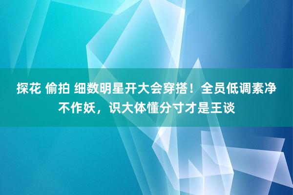 探花 偷拍 细数明星开大会穿搭！全员低调素净不作妖，识大体懂分寸才是王谈